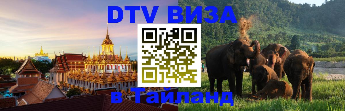 Оформление DTV визы под ключ: стоимость и тарифы, только загранпаспорт - Элиста 